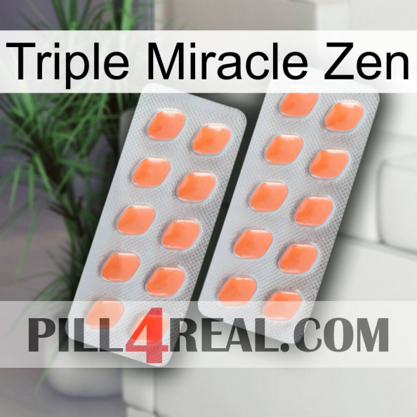 Triple Miracle Zen 27.jpg